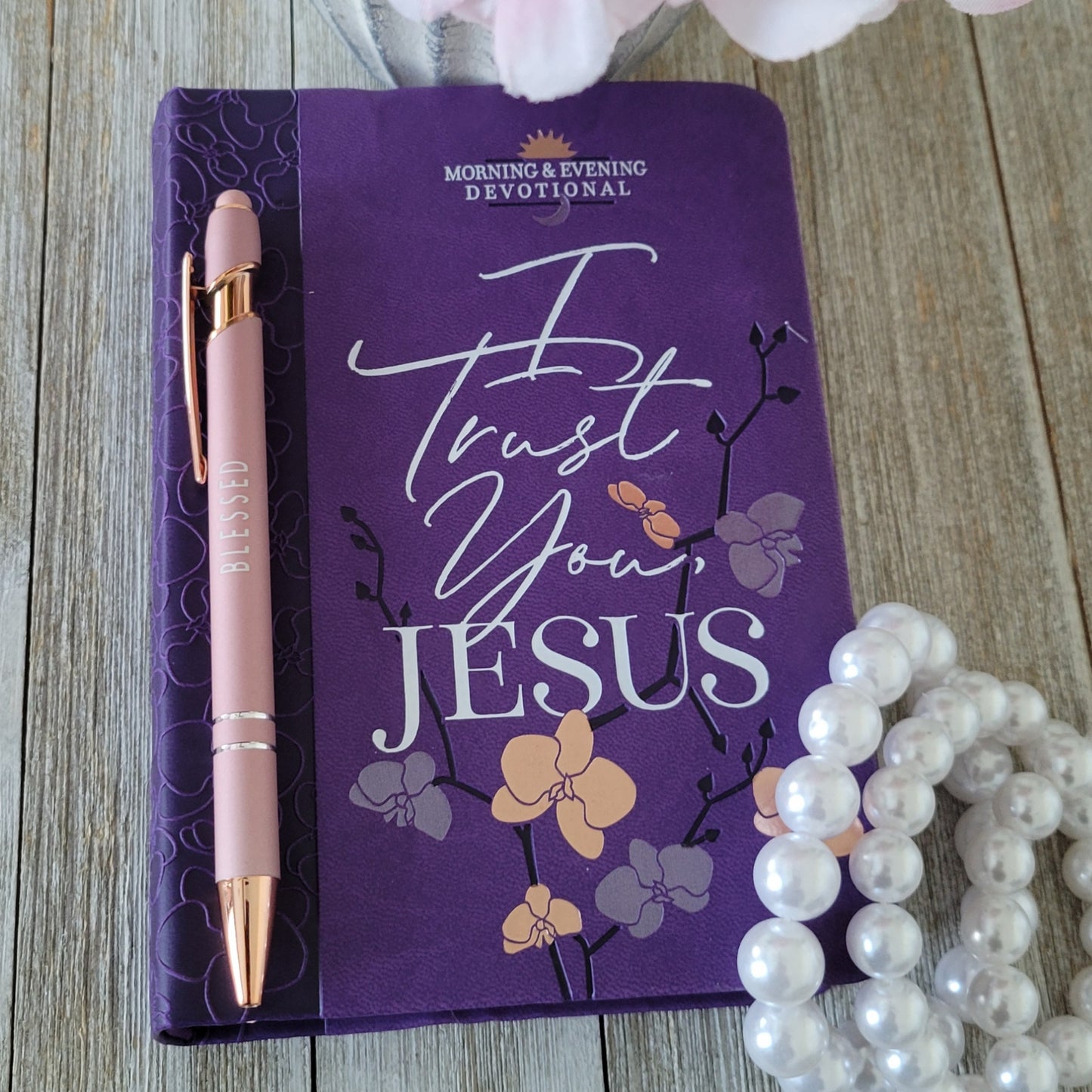 I Trust You, Jesus Devotional Set